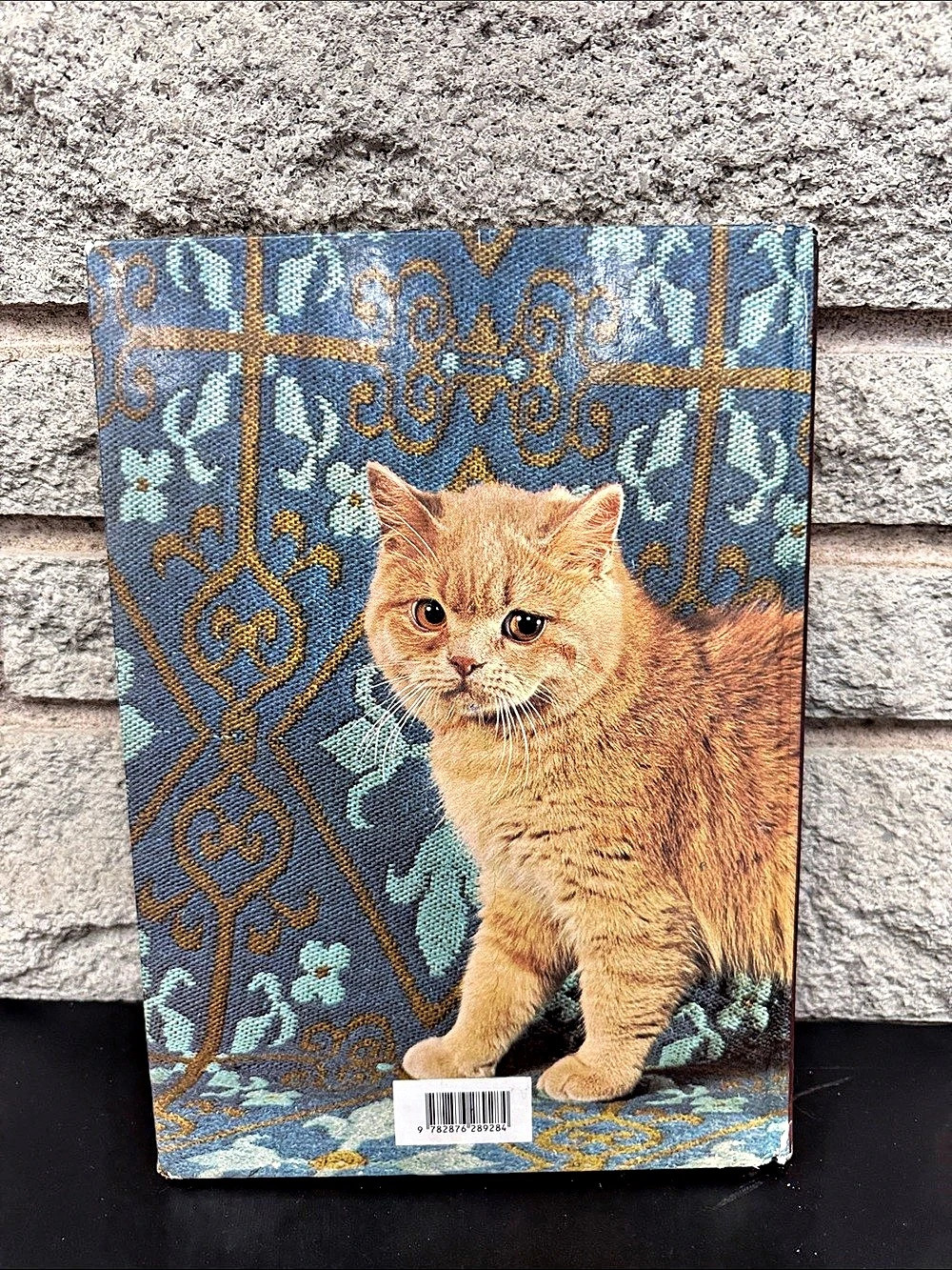Le Grand Livre des Chats Cat Book Red & Blue - Picture 2 of 2